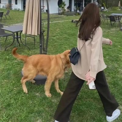 大明湖畔有人家